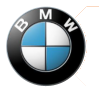 BMW Motors logo